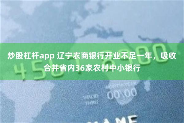 炒股杠杆app 辽宁农商银行开业不足一年，吸收合并省内36家农村中小银行