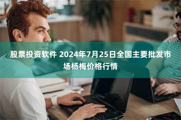 股票投资软件 2024年7月25日全国主要批发市场杨梅价格行情