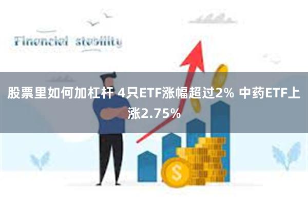 股票里如何加杠杆 4只ETF涨幅超过2% 中药ETF上涨2.75%