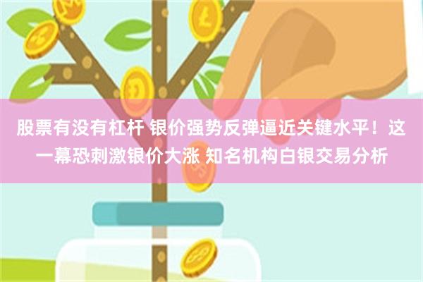 股票有没有杠杆 银价强势反弹逼近关键水平！这一幕恐刺激银价大涨 知名机构白银交易分析