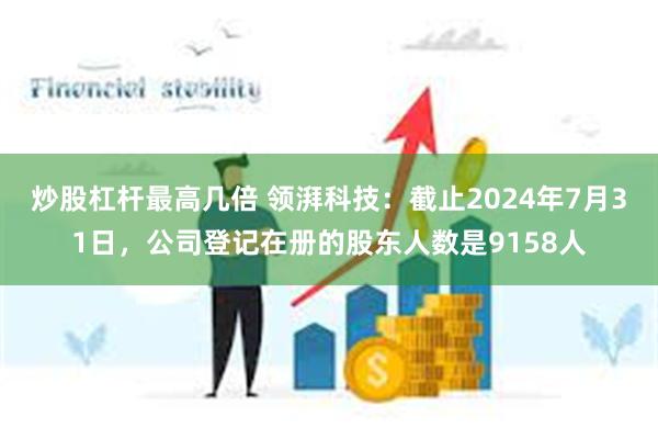 炒股杠杆最高几倍 领湃科技：截止2024年7月31日，公司登记在册的股东人数是9158人