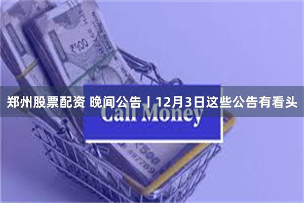 郑州股票配资 晚间公告丨12月3日这些公告有看头