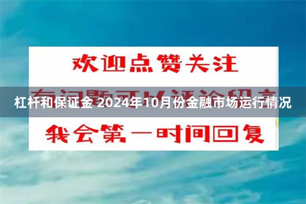 杠杆和保证金 2024年10月份金融市场运行情况