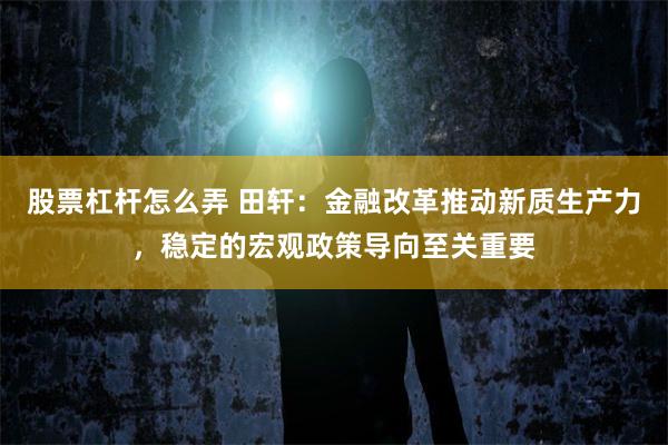 股票杠杆怎么弄 田轩：金融改革推动新质生产力，稳定的宏观政策导向至关重要