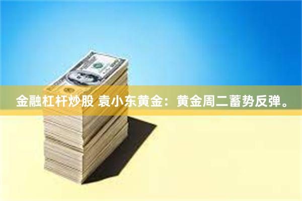 金融杠杆炒股 袁小东黄金：黄金周二蓄势反弹。