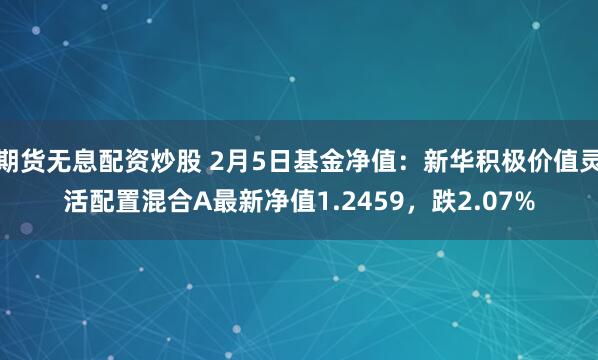 期货无息配资炒股 2月5日基金净值：新华积极价值灵活配置混合A最新净值1.2459，跌2.07%