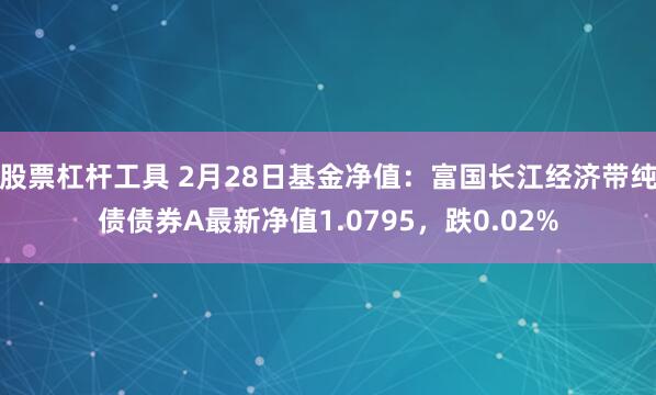 股票杠杆工具 2月28日基金净值：富国长江经济带纯债债券A最新净值1.0795，跌0.02%