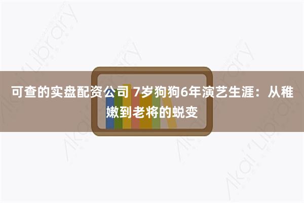 可查的实盘配资公司 7岁狗狗6年演艺生涯：从稚嫩到老将的蜕变